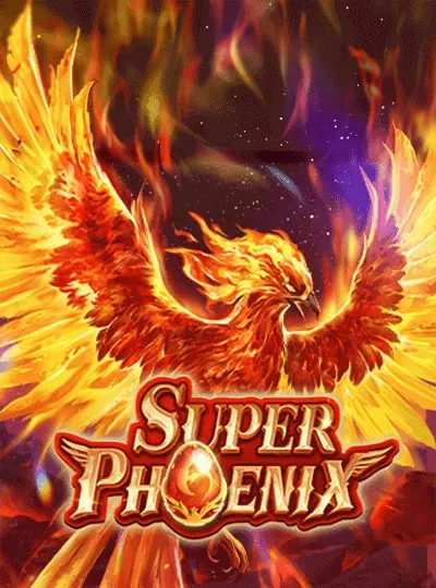 BPL cricket game cover